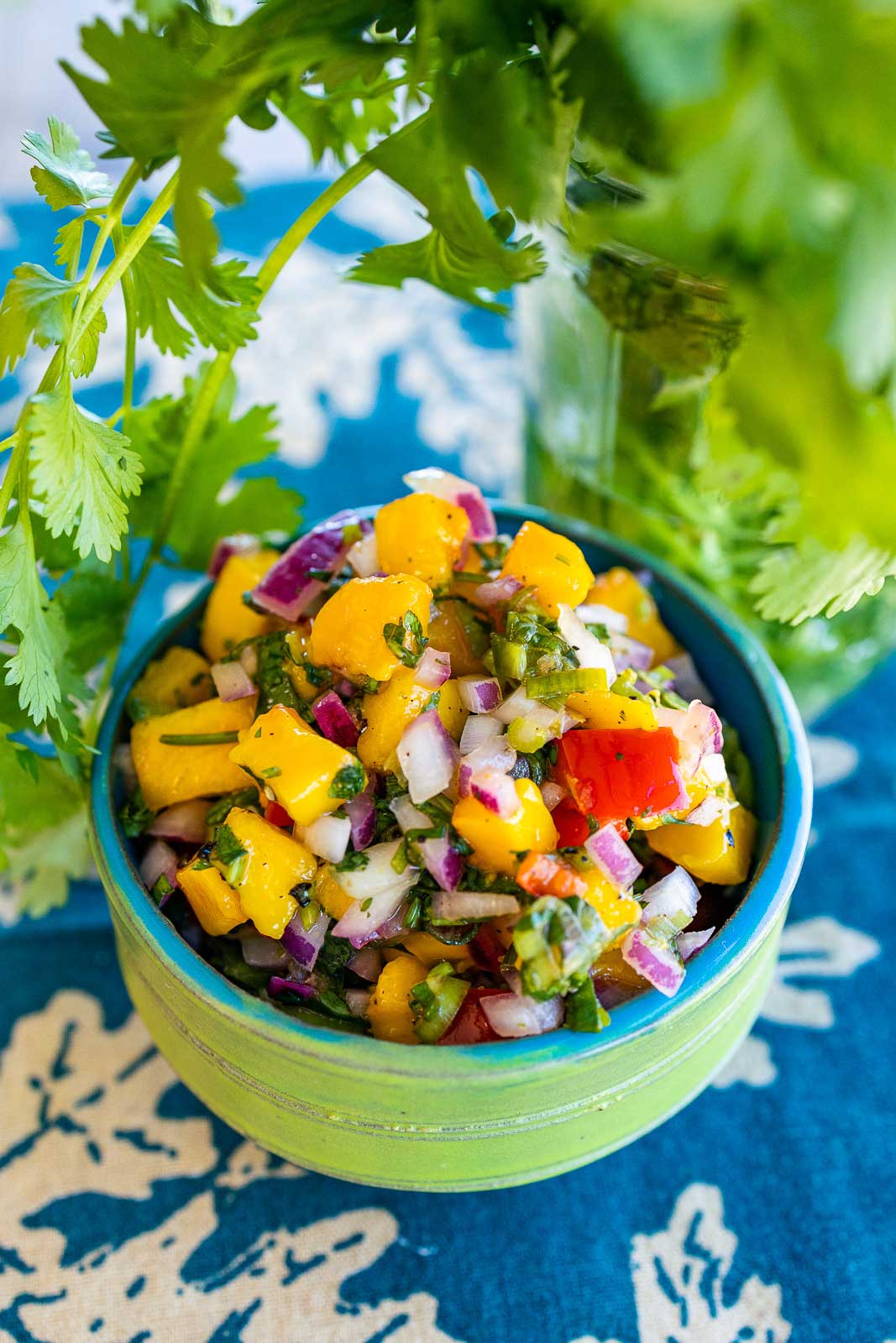 CK0A0824 Mango salsa