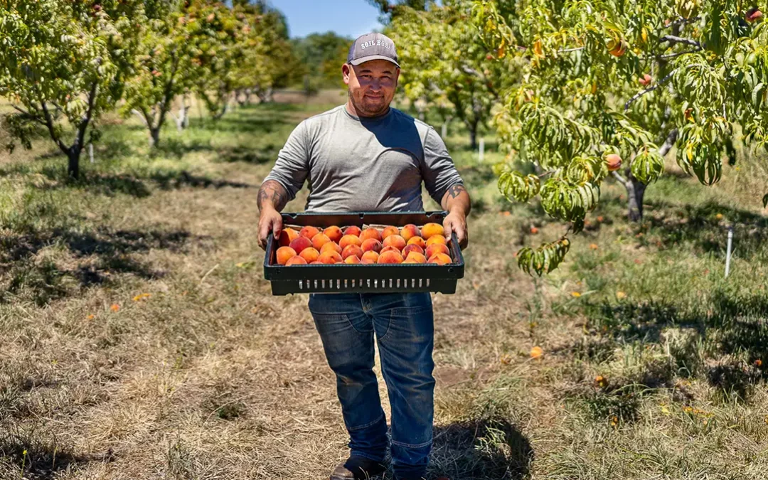 Round Up At The Register — Soil Born Farms