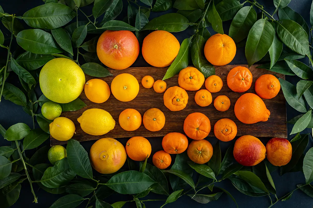 A variety of colorful oranges surrounding by green lush leaves.