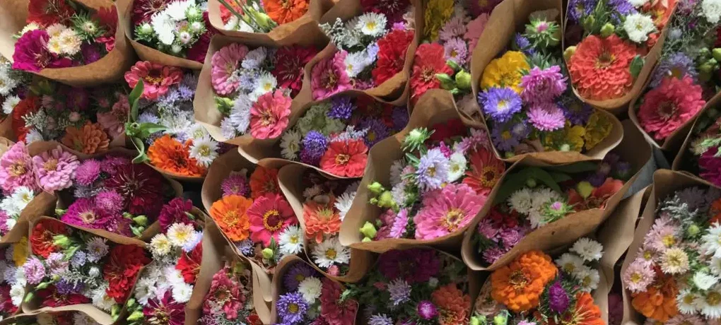 A colorful variety of flowers tightly bunched together.
