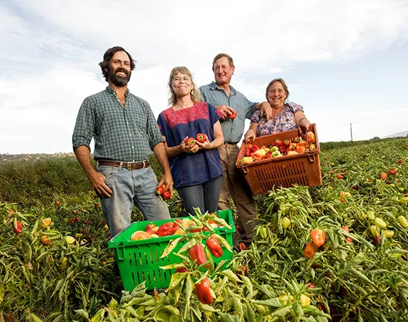 Sacramento Natural Foods Co-op